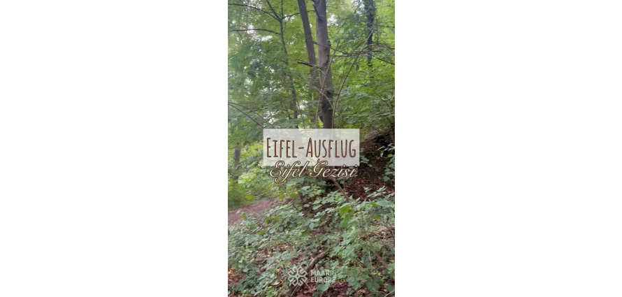 Unser Eifel-Abenteuer 🌋🌿