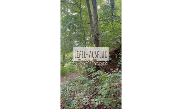 Unser Eifel-Abenteuer 🌋🌿